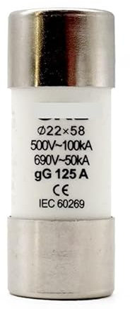 Sicherung 10 Stück AC 500 V RO17 flinker Keramik-Sicherungseinsatz RT18–125 22 x 58 gG-Ausschnitt 10 A 16 A 20 A 25 A 32 A 40 A 50 A 63 A 80 A 100 A 125 A (Size : 80A)
