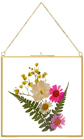 TLBTEK 6 inch Hanging Photo Frame, Double Glass Frame for Pressed Flowers,Clear DIY Vintage Artwork Display Frame Wall Mounted Photos Frame
