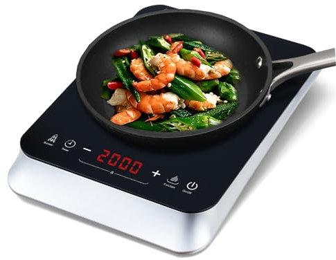 COOKTRON Placa de inducción, placa de inducción, 1 placa de 2000 W, placa de cocción individual de 29 cm, placa de inducción portátil, 10 niveles de temperatura, temporizador de 4 horas, control