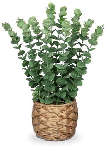 Briful Kunstpflanze Eukalyptus Künstliche Pflanze Wie Echt Zimmerpflanzen Dekopflanzen in Geflochten Seegras Topf, Höhe 39 cm