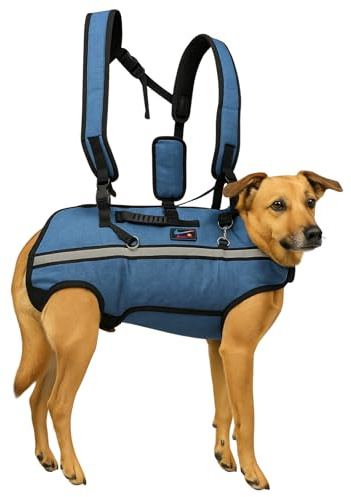 CANISPHERE Tragehilfe Hund Groß (4XL, bis 40 kg) - Hundetrage für große Hunde - Ergonomische Hundetragetasche - Tragerucksack Hund - Treppenhilfe & Notfallhilfe für ältere Hunde