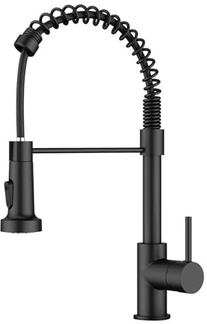 FORIOUS Robinet Cuisine Noir, Mitigeur Cuisine Monotrou Douchette de Rotation à 360° et Double Fonction de Pulvérisation