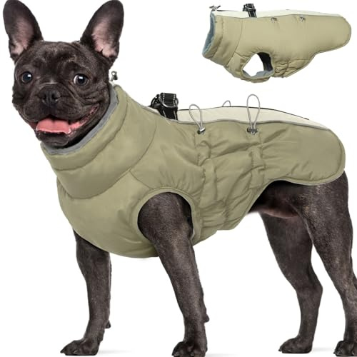Katzinst Hundemantel Winter, Warm Hundemantel Fleece, Ärmellose Hundejacke Große Hunde, Hundebekleidung Outfit für Dalmatiner, Border Collie, Aprikose, L