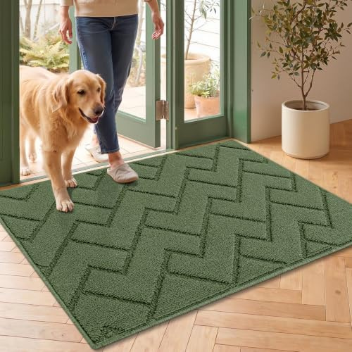 Biscpro Fußmatte Innen Außen Waschbar eingangsteppich innen Schmutzfangmatte rutschfest,Türmatte Innen Teppich für Eingang, Patio, Flur, Garten, Innen und Außen (Grün, 60x90cm)