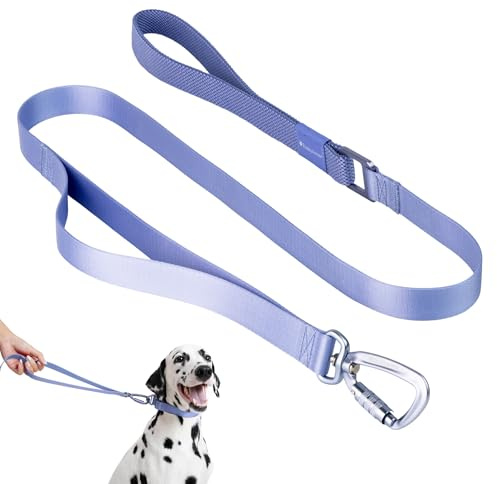 BuddyArmor Nylon Dog Leash Heavy Duty Lightweight w/Traffic Handle and Elastic Two Handles, Carabiner Clip Lock Durable Dog Training Leash Walking Lead for Medium Large Dogs (Armor Blue, L)