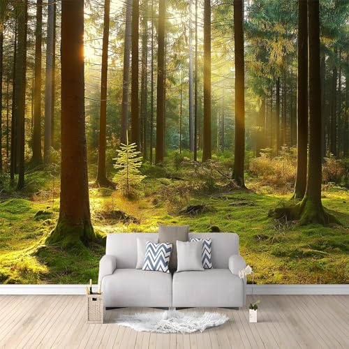 Murales Decorativos 3D Puesta De Sol Bosque Verde 350x256 cm Fotomurales Papel Pintado no Tejido, Papel Tapiz Fotográfico, Mural Decoración Pared para Salon, Dormitorio, Oficina