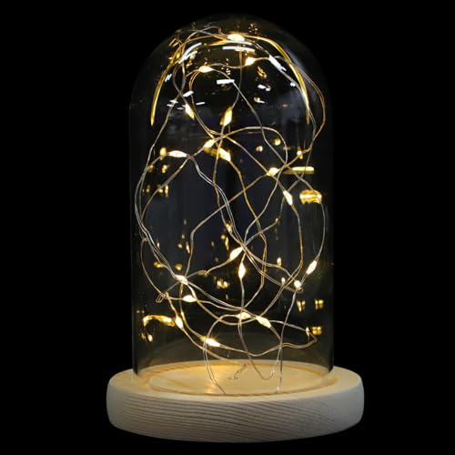 Copper Wire LED Star String Lights with Glass Dome Cover, 20 Warm White Stars on 2m Copper Wire, Decorative Glowing Firefly Lights for Home and Party Display