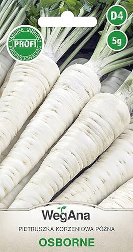 WegAna Perejil Raíz Osborne 5g (Alrededor de 4000 semillas), Perejil Raíz Robusta Semillas de Hortalizas Semillas de Cultivo para Invernadero