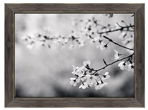 ConKrea QUADRO SU TELA CANVAS INTELAIATO - CON CORNICE - Fiori di Pesco - Foto bianco e nero - Fiori Rosa - 70x100cm - Stile Country Nero Shabby - (cod.3614)