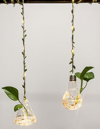 2Pcs Propagation Stations with Lights, Wall Hanging Planter for Indoor Plants Terrarium Container Flower Glass Planter Hydroponic Plants Decor Mini Flower Vase for Home Garden Office Plant Lover Gift