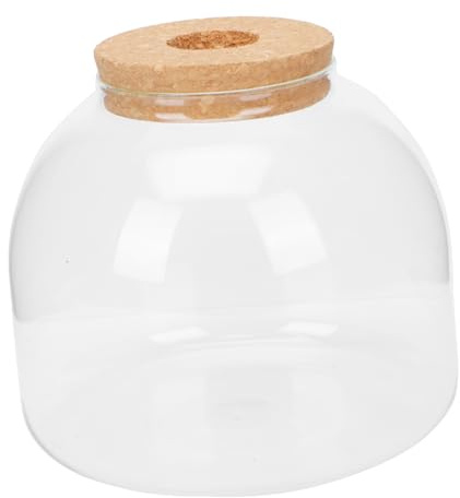 YOSADIER Glas Terrarium Micro Landscape Bottle Mit Korkverschluss DIY Ökosystem Pflanze Flaschengarten Komplettset Kompakt Pflegeleicht Vielseitig Für Zuhause Büro Und Dekoration
