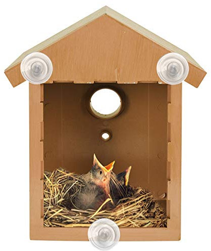ASAB Wild Bird Watching Nesting Box Set | Birdhouse Kit with Spy Window and One Way Mirror Foil | Plastic Robin House with Wood Looking Design