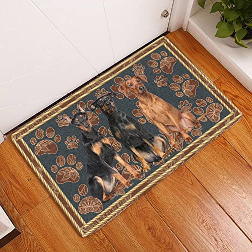 MIAOMANSENSTORE Fußmatte innen außen fussmatte Deutscher Pinscher Blumenpfoten-Hunde-Fußmatte, dekorative Willkommens-Fußmatte für deutsche Pinscher-Hundeliebhaber Deko Wohnzimmer