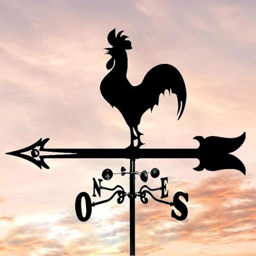 BGFYUSF Veleta de Metal Decorativa， anemómetro de dirección e indicador de dirección de Acero Inoxidable， Decoraciones de Metal para Exteriores，