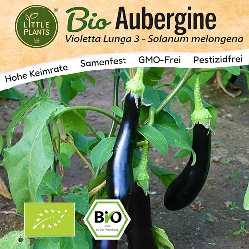 Little Plants BIO Aubergine Samen 12 Auberginensamen Violetta Lunga Gemüsesamen für Gemüsegarten Samenfest Gemüse Samen für Küche, Balkon und Garten