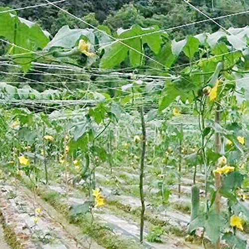GroßEs Spaliernetz für Pflanzen, Kletternetz, Hergestellt aus Hochwertigem Polyethylen, Sorgt für Luftzirkulation und Sonnenlicht, Geeignet Zum Klettern