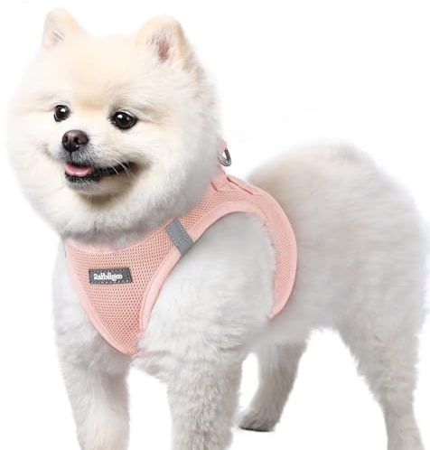 rabbitgoo Harnais Chien Petite Taille, Léger et Respirant, Rose Clair, S | Harnais Chiot en Maille Souple, Réfléchissant, Réglable, Facile à Mettre, Arnet pour Chien Petit et Moyen, pour Marche Course