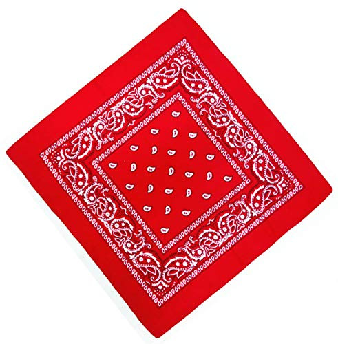 DHOBIA Biker Motorbike Bandana Head Scarf in Cloth Various Paisley Pattern Colours