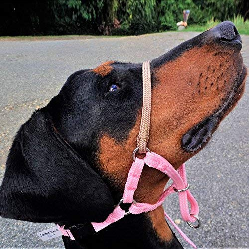 Comfort Trainer Head Halter. Stops Pulling for Ultimate Control (1, Pink)