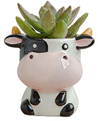 ACAREY Pot de Succulente Pot de Fleur Pot en Céramique Interieur Petite Pots de Plantes pour Bureau Maison Décoration de Jardin Intérieur Extérieur (Vaches)