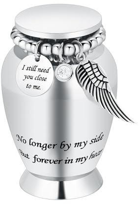 Pequeñas urnas para cenizas humanas Urna de cremación para cenizas humanas con alas Encanto Mini urna personal Funeraria para mascota (alas grandes plateadas)
