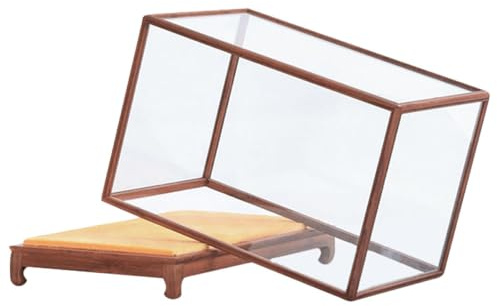 Kichvoe Transparente Vitrine für Puppen und Sammlerstücke Braun | Hochtransparentes Design, Fein Verarbeitet und Pflegeleicht, für Haushalt, Ordnung und Klare Präsentation Zufälliger Stil