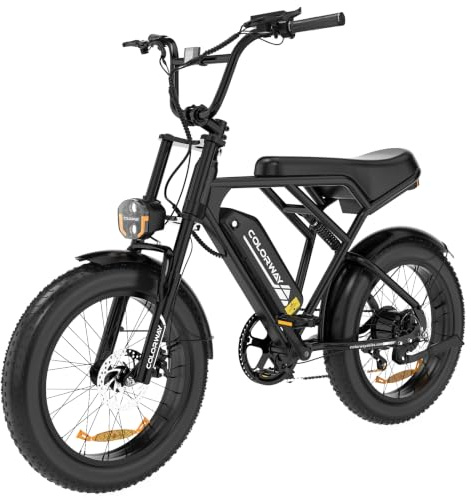 COLORWAYVélo Électrique Adulte Homme 20 Pouces Fat Tire 250W, EBike Homme Puissant Tout Terrain,Pedelec 36V/48V avec Batterie Amovible Grande Autonomie,Double Frein à Disque et Écran LCD Intelligent