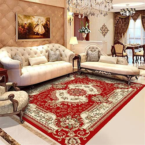 DJHWWD Outdoor Teppiche Balkon mädchen deko Zimmer Roter Teppich Schlafzimmer rechteckiger Wohnzimmer Bodenmatte feuchtigkeitsfest auslegeware 200X300CM