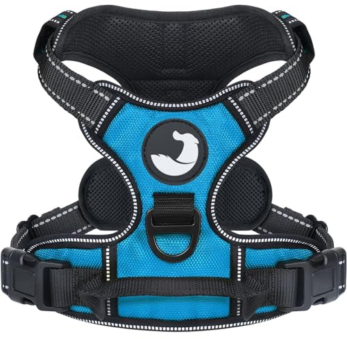Joytale Anti-Zug Hundegeschirr für Labrador & Schäferhund, Blau, XL | Perfekter Sitz, gepolstert & reflektierend, 2 Anleinpunkte (vorne & hinten), Haltegriff für Treppen & Auto, für Training