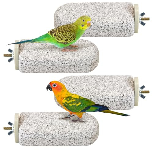 BNOSDM 4 Pcs Large Natural Parrot Beak Grinding Stone Parakeet Chew Toy Calcium Parrot Perch Stand Bird Cage Accessories for Budgies, Cockatiels, Conures, Lovebirds, Canary