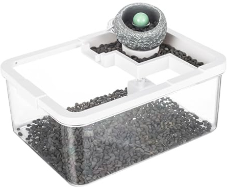 Aquarium pour Poisson Betta,Bac Paysager pour Tortues | Bassins Anciens avec Pompe USB & Éclairage pour Aquaponie, Méduses, Bureau, Bibliothèque, Chambre à Coucher