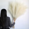 12 Pièces Pampa Artificielle,115cm Pampas Sechees Decoration XXL,Herbe de la Pampa pour Vase,Salon,Chambre à Coucher,Mariage,Décoration Boho (Beige)