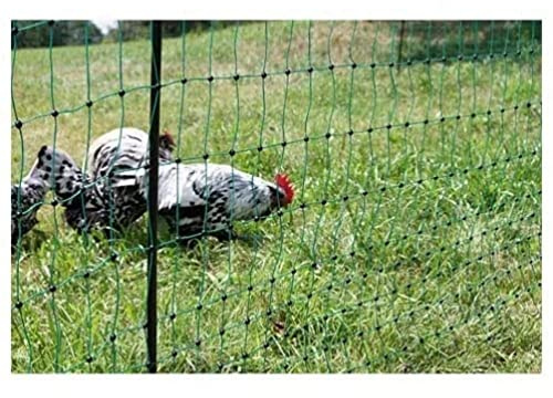 Kerbl Filet À Volailles Poultrynet Vert, Électriﬁable, Double Pointe, 50m, 106 cm pour Élevage/Agriculture Urbaine