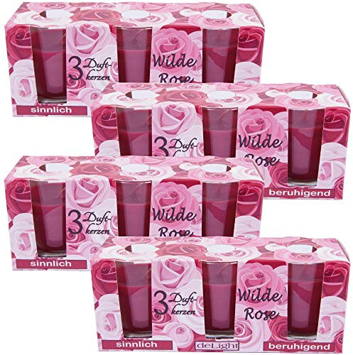 HS Candle Duftkerzen Classic 12er Pack im Glas, lange Brenndauer und angenehmer Duft (Wilde Rose)