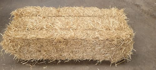 Genérico Paja para Animales, 110 x 50 x 40 cm, 20 KG. Balas de Paja de Cebada. Asiento de Jardín, Paja para gallineros, Paja para ponederos de Aves, gallinas, alimentación de Caballos, Cabras, Conejo