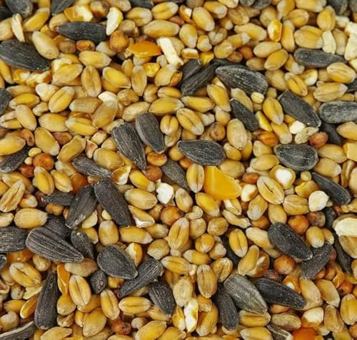 BusyBeaks Four Seasons Wild Bird Seed Mix (20KG) - All Year-Round Bird Food with Black Sunflower, Wheat, Small Seeds & Peanuts | High-Energy Feed for Small Garden Birds - 100% Natural Ingredients