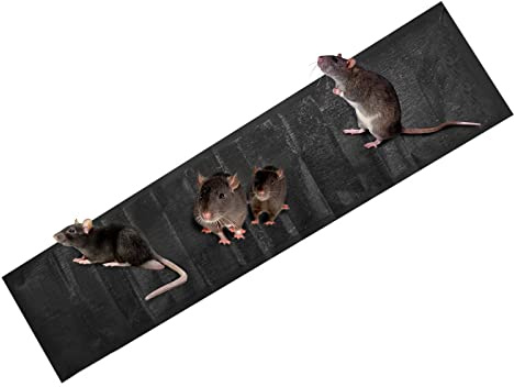 YJZQ Tavola per mouse con trappola per colla, grandi piastre autoadesiva, 5 pezzi, tappetino magico cattura mosca, cuscino anti topi e topi, nero, 1,2 m x 28 cm