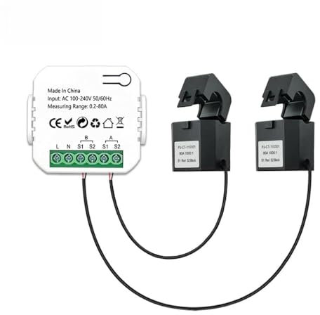 WiFi-Energiemessgerät, Echtzeit-Stromüberwachung, Hochpräzise Messung, App-Steuerung, Verfolgung des Energieverbrauchs mit CT (2CT)