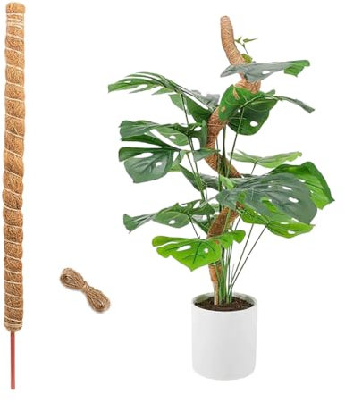 YZROHYI Bastone per Piante Rampicanti 100 CM,Palo di Muschio per Piante con Corda Juta,Muschiato Bastone Fibra di Cocco,Pieghevole Palo Sfagno per Monstera Supporto,Tutore Piante Sostegno,Moss Pole
