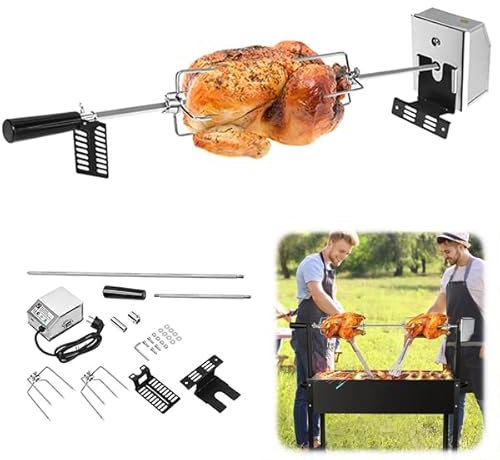Aufun Set di spiedo Rotante in Acciaio Inox, Girarrosto Barbecue Elettrico Girevole, spiedo per Barbecue a Gas 107 cm, con 2 Aghi per Carne, per Campeggio da Viaggio, Picnic
