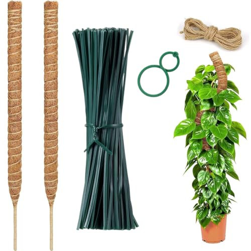 GGUFAY 2 Pezzi Bastone di Muschio, 30 cm Palo Cocco Piante Sostegno Piante Supporti per Piante Pieghevoli Fibra di Cocco per Piante, Tutore Muschiato per Monstera per Piante rampicanti