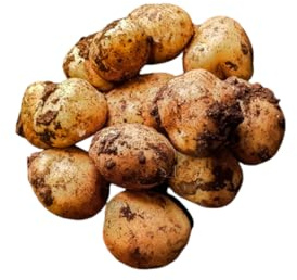 Cyprus Potatoes || 3KG || £14.99 || (3KG)