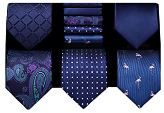 HISDERN Cravatte da Uomo Blu Navy - Cravatta 5 pezzi e Pochette Matrimonio Cravatta Uomo Elegante e Fazzoletto da Taschino con Confezione Regalo
