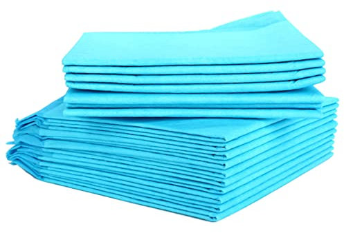 POPETPOP 50 Stück Einweg-urinkleenpads Für Haustiere Welpen Hundetrainingspads Haustierpads Welpenpads Training Von Haustieren