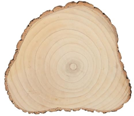 J-Line unregelmäßige Baumrinde Paulownia - Rinde - Holz - Natur - groß