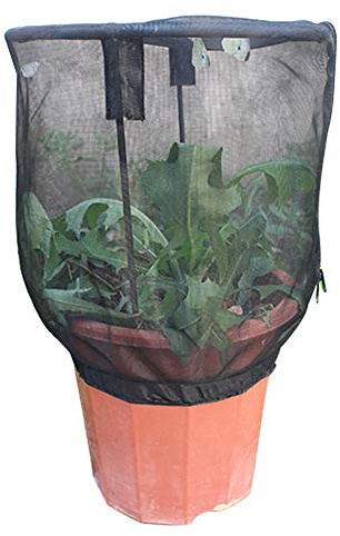 Garden Netting, Mesh Net Bag Garden Plant Cover Fruit Bushes Garden Cover From Bird Eating Plant Net Barrier Cover Protective Zipper (Black)