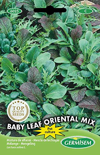 Germisem Baby Leaf Oriental Mix Semi di Lattuga 2 g