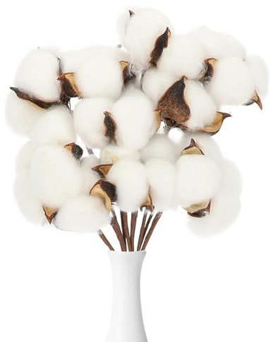 Lot de 10 branches de coton véritable séchées Décoration en coton blanc pour vase mariage fête décoration de chambre