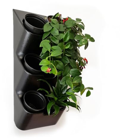 BOXSAND 6 (30,5 x 66 cm) Wohnwand – Wand-Pflanzgefäß, vertikaler Garten für 6 Pflanzen, für drinnen und draußen, 2 Schrauben (schwarz) mit schwarzen runden Töpfen
