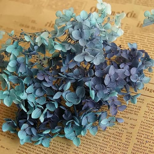 Orecchini fai da te con fiori di ortensia stabilizzati e candele profumate in colori sfumati Materiale: colore sfumato 73E-20 g